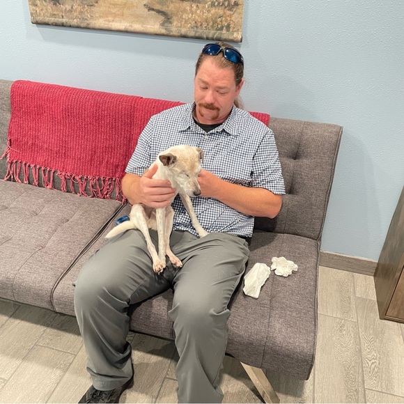 SWEET HAZEL - Picture 15 of 16